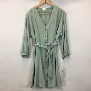 Calvin Klein Sage Green Button-Down Dress